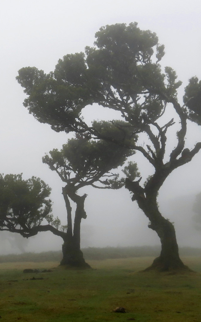 Nature